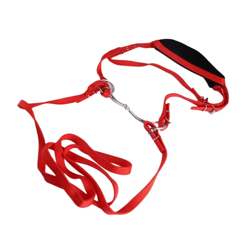 FSTE-Equestrian Horse Bridle Rein Harness With Adjustable Design And High-Quality Multiple Buckles Material
FSTE-Equestrian Horse Bridle Rein Harness With Adjustable Design And High-Quality Multiple Buckles Material