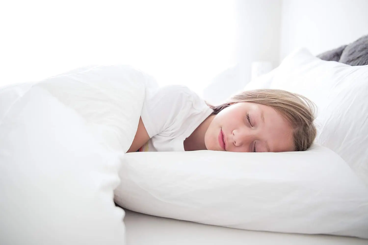 Adjustable Loft Bed Pillow - Three Pillows In One For Best Sleeping Position Possible - Back, Side, And Stomach Sleepers -
Adjustable Loft Bed Pillow - Three Pillows In One For Best Sleeping Position Possible - Back, Side, And Stomach Sleepers -