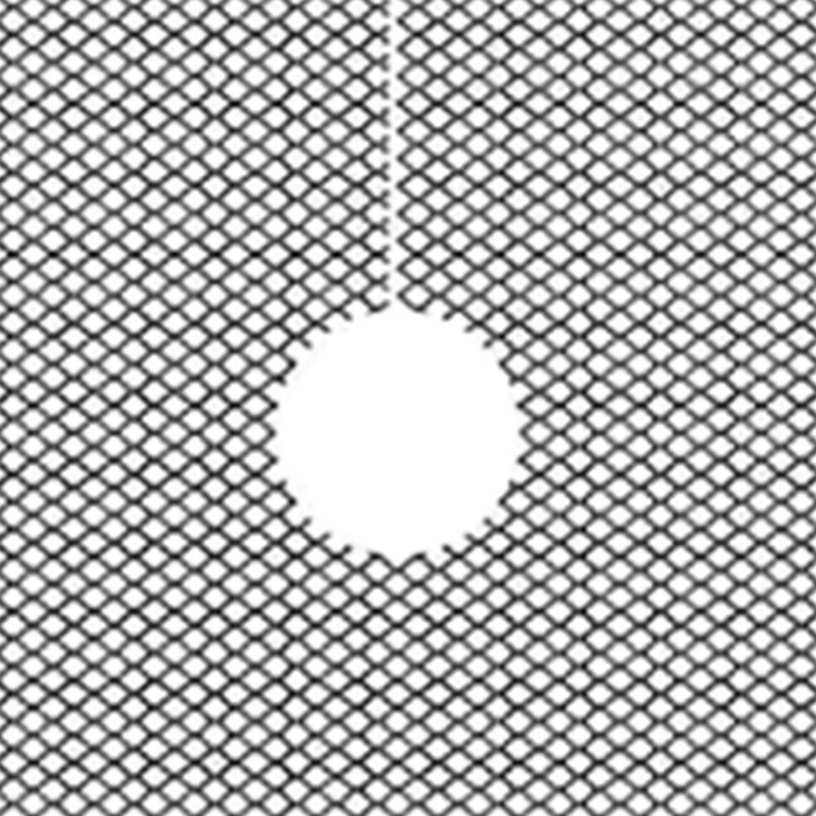 Plant Pot Cover 10 Pieces Mesh Grid With 10 Stakes Round Plant Pot Grid For Indoor Gardening Moss Kitten Dog Gidding Squirrel
Plant Pot Cover 10 Pieces Mesh Grid With 10 Stakes Round Plant Pot Grid For Indoor Gardening Moss Kitten Dog Gidding Squirrel