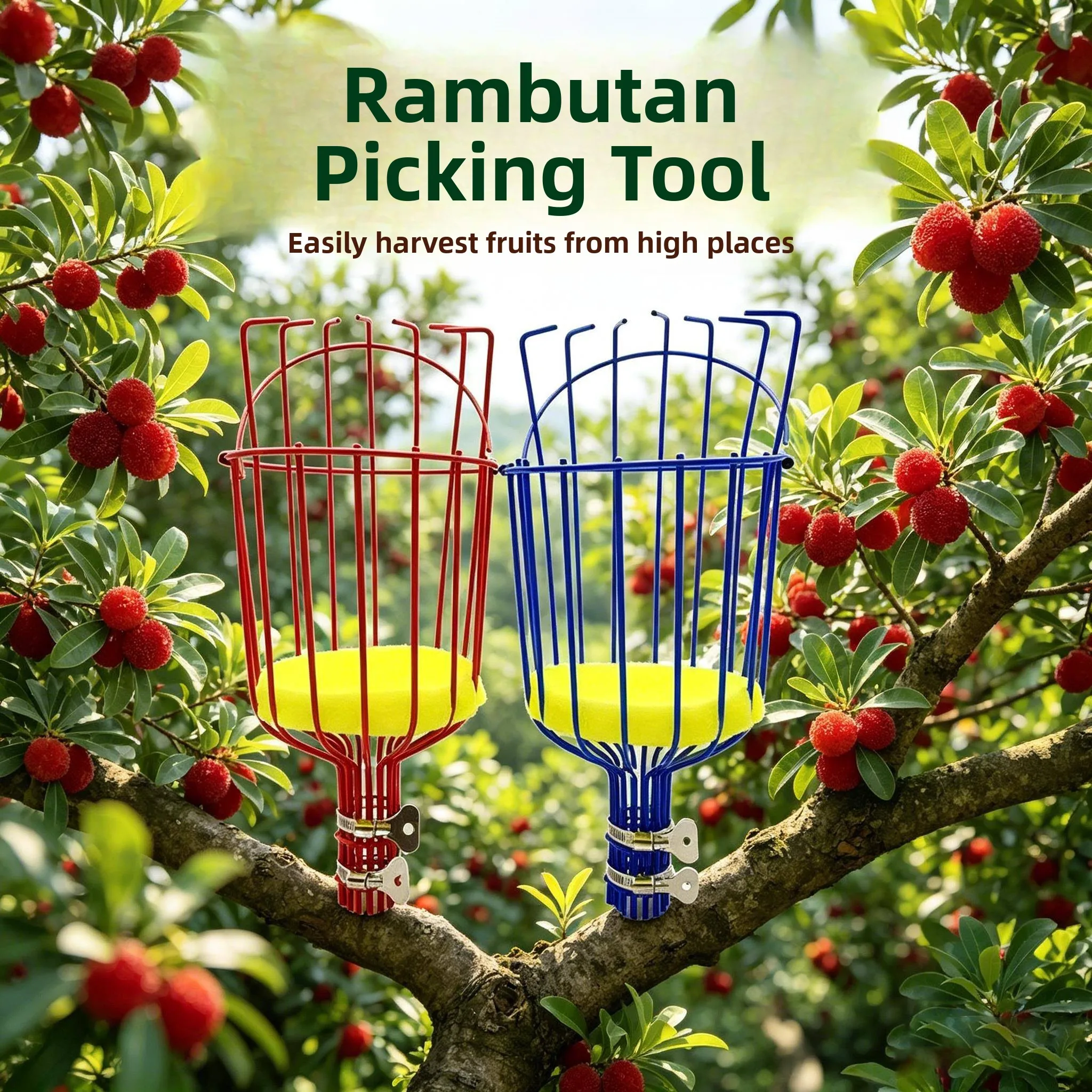 Professional Fruit Harvester Extensible Pole Tool for High Altitude Harvesting Plum Apricot Date Fig Peach Home Garden Tool
Professional Fruit Harvester Extensible Pole Tool for High Altitude Harvesting Plum Apricot Date Fig Peach Home Garden Tool