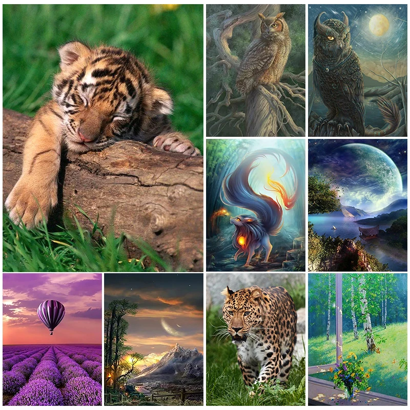 Animal Diamond Painting Landscape Crystal Painting 5D DIY Landscape Mosaic Embroidery Home Decoration Wall Art
Animal Diamond Painting Landscape Crystal Painting 5D DIY Landscape Mosaic Embroidery Home Decoration Wall Art