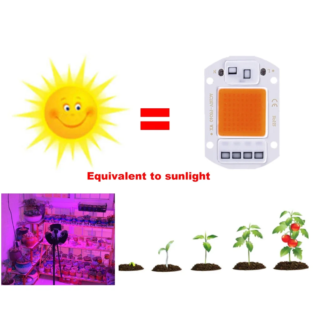 Светодиодный чип источника света COB 220 В IP65 умная микросхема не требует привода DIY прожекторы светодиодные лампы прожекторы аксессуары для наружного освещения 50 Вт
Светодиодный чип источника света COB 220 В IP65 умная микросхема не требует привода DIY прожекторы светодиодные лампы прожекторы аксессуары для наружного освещения 50 Вт
