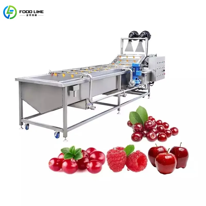 Customized Core Bearing PLC Motor Fresh Fruit Washing Air Bubble Cleaning Machine for Mango Apple Vegetable 1 Year Warranty
Customized Core Bearing PLC Motor Fresh Fruit Washing Air Bubble Cleaning Machine for Mango Apple Vegetable 1 Year Warranty