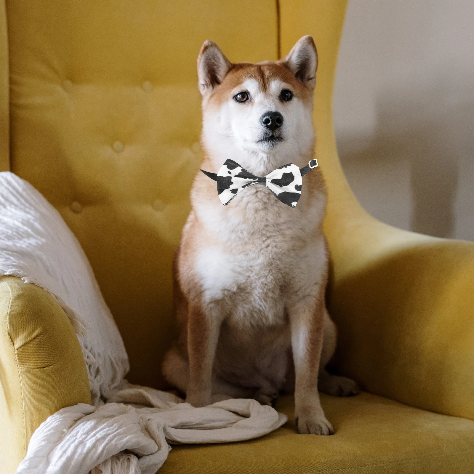 Pet Bow Tie Cat Bowtie Ties for Dog Outdoor Collar Dogs Puppy Fabric Kitten Collars 
Pet Bow Tie Cat Bowtie Ties for Dog Outdoor Collar Dogs Puppy Fabric Kitten Collars