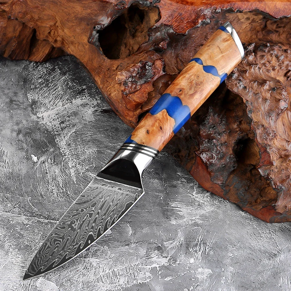 XITUO 3.5 Inch Paring Knife,Peeling Knife,Japanese Premium Damascus Steel Sharp, Full Tang Small Kitchen Knife for Fruit Peeling
XITUO 3.5 Inch Paring Knife,Peeling Knife,Japanese Premium Damascus Steel Sharp, Full Tang Small Kitchen Knife for Fruit Peeling