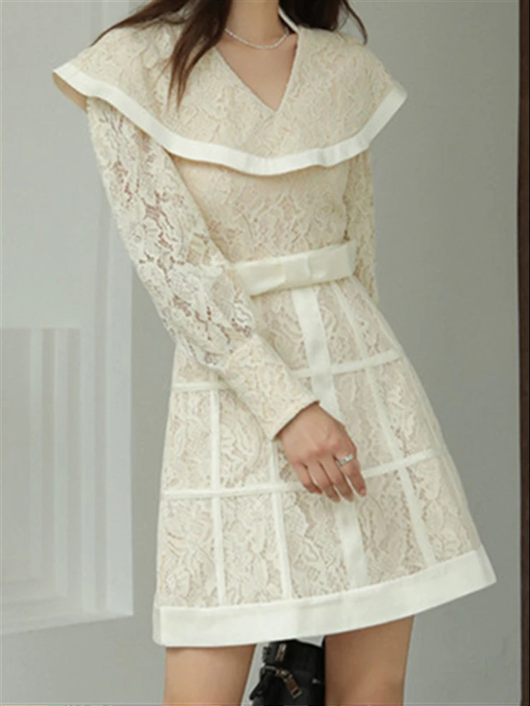 Party Long Sleeve Runway High Waist Lace Luxury Dresses Women Boho Elegant Fall 2023 Spring Dress Embroidery Solid Woman Vestido
Party Long Sleeve Runway High Waist Lace Luxury Dresses Women Boho Elegant Fall 2023 Spring Dress Embroidery Solid Woman Vestido