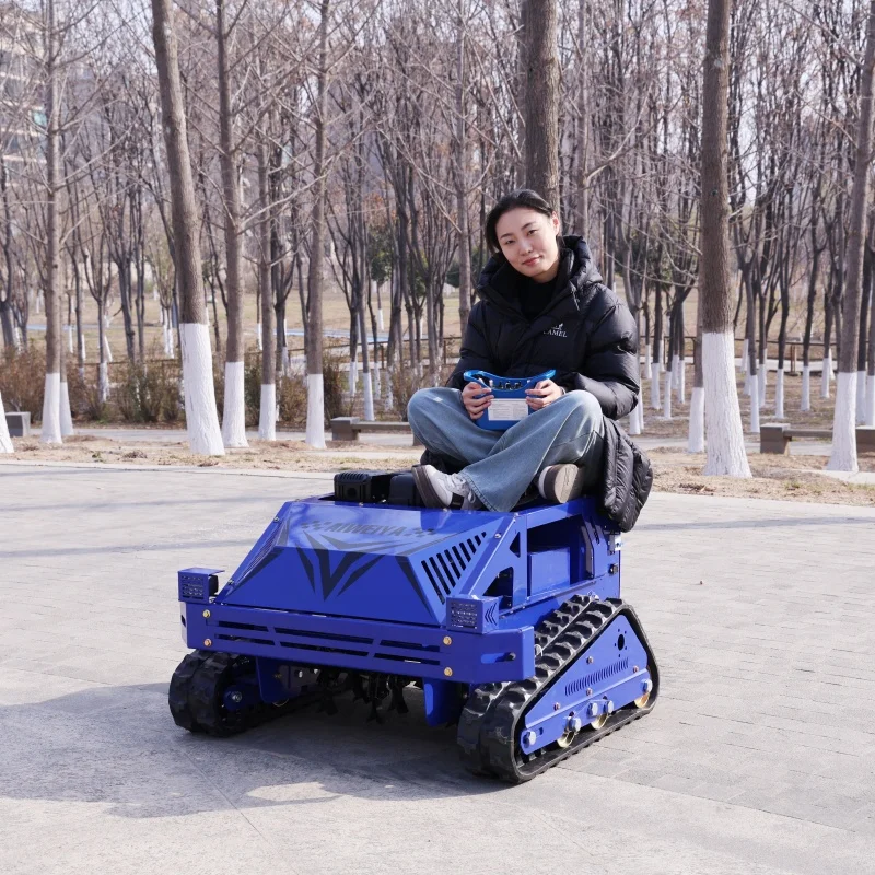 Робот-газонокосилка 24 В по индивидуальному заказу с четырехтактным циклом, газонокосилка с напряжением 24 В, кусторез, европейские стандарты эмиссии V
Робот-газонокосилка 24 В по индивидуальному заказу с четырехтактным циклом, газонокосилка с напряжением 24 В, кусторез, европейские стандарты эмиссии V