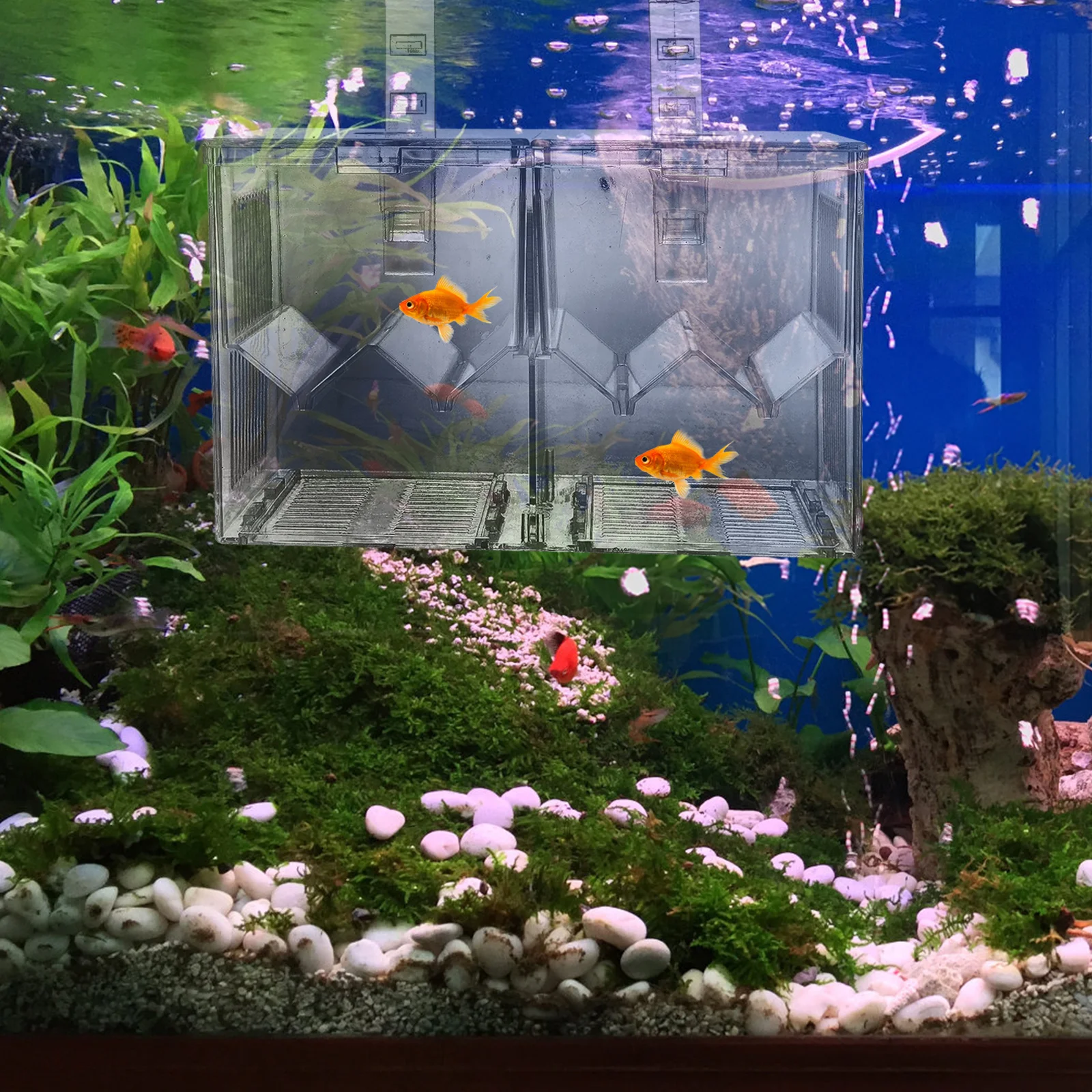 Transparent Acrylic Fish Tank Isolation Box Hatching Incubators Holder for Shrimp Easy Clean Storage Stable
Transparent Acrylic Fish Tank Isolation Box Hatching Incubators Holder for Shrimp Easy Clean Storage Stable