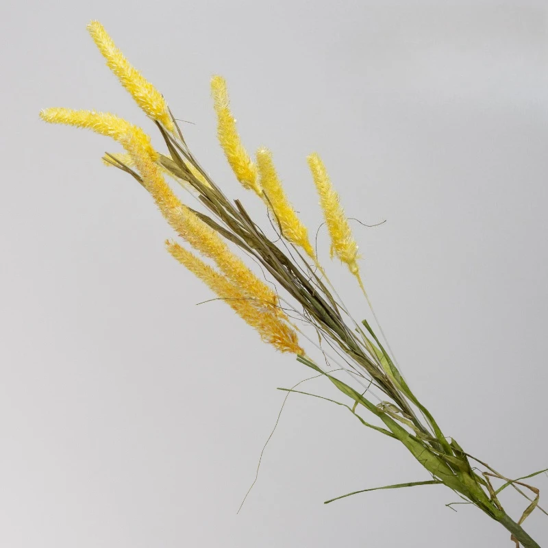 10pcs Artificial Flower Plastic White Bristlegrass Plants Restaurant Decoration Simulation 9-head Reed Flowers Green Plant
10pcs Artificial Flower Plastic White Bristlegrass Plants Restaurant Decoration Simulation 9-head Reed Flowers Green Plant