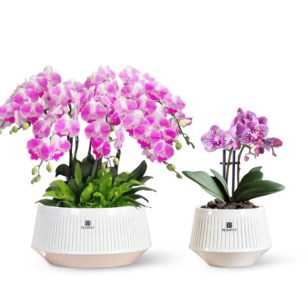 Orchid Pot with Holes & Saucers Plant pots for Indoor and Outdoor use, Wind-Worn Texture Cutout Promoting air Circulation
Orchid Pot with Holes & Saucers Plant pots for Indoor and Outdoor use, Wind-Worn Texture Cutout Promoting air Circulation