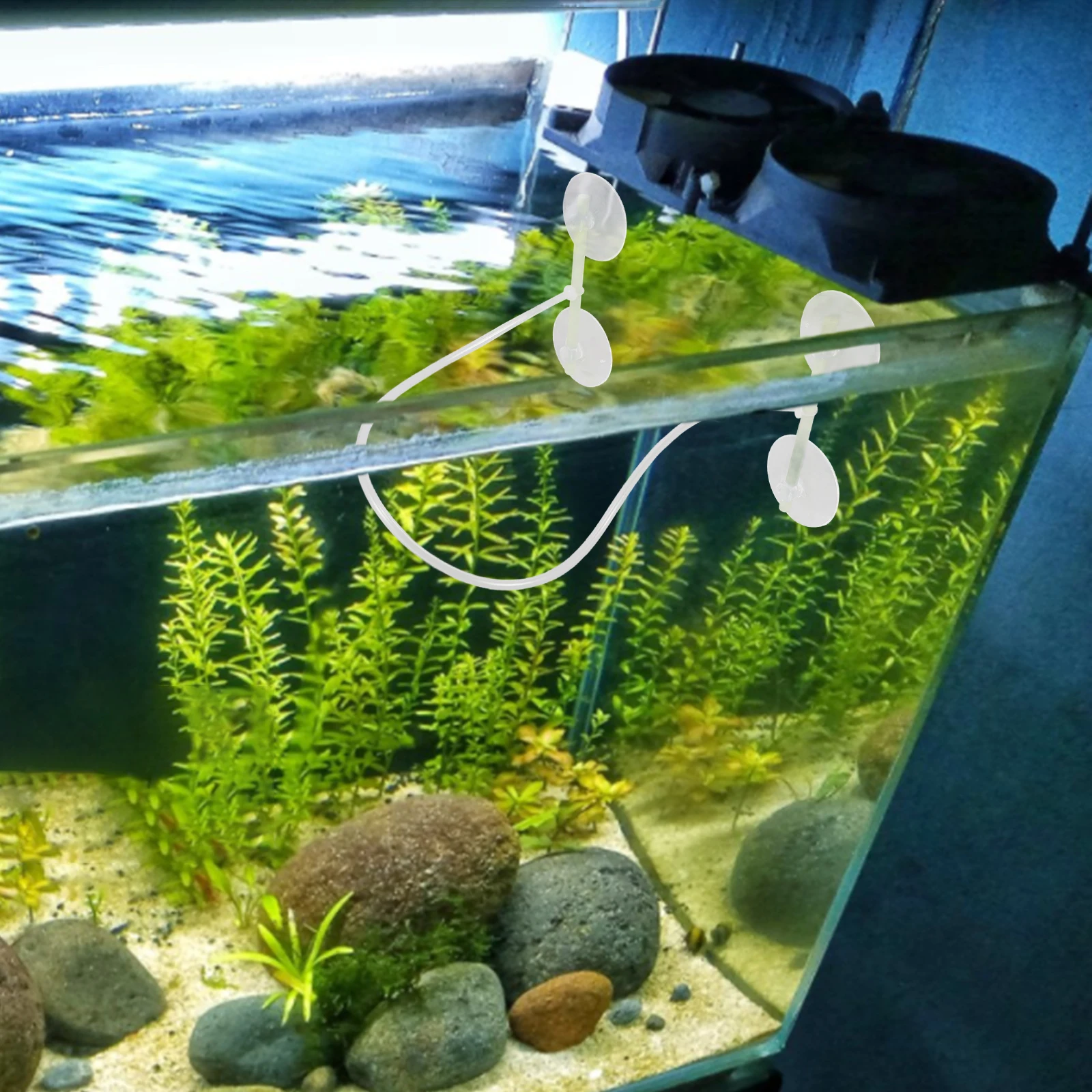 s Floating Plant Fence Duckweed Ring Isolation Accessories for Fish Tank Transparent Separator Reusable Longtime Aquatic Plants
s Floating Plant Fence Duckweed Ring Isolation Accessories for Fish Tank Transparent Separator Reusable Longtime Aquatic Plants