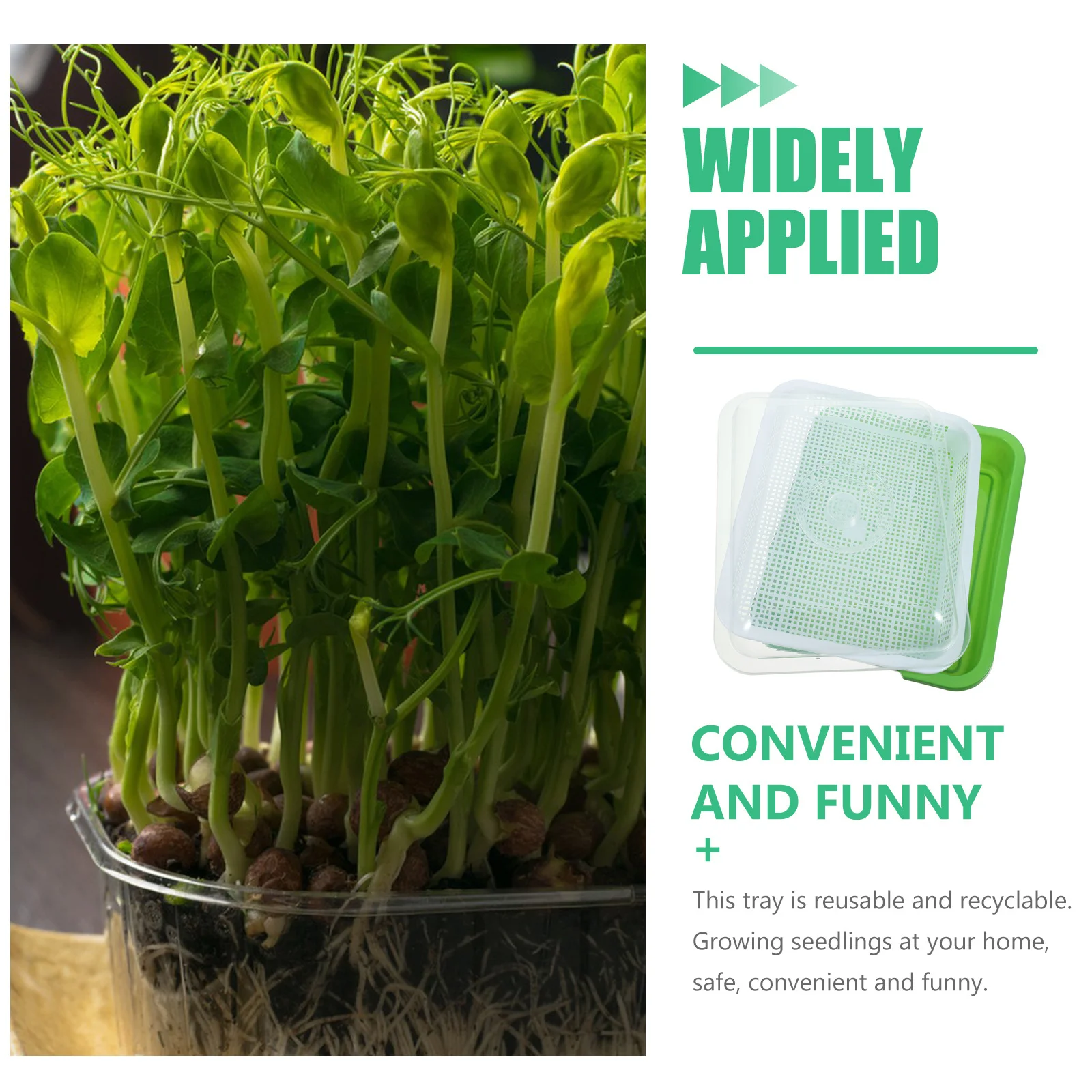 Germination Tray Plastic Soilless Grower For Indoor Hydroponic Garden Lid Ventilated Design Wheat Grass Radish Sprouting
Germination Tray Plastic Soilless Grower For Indoor Hydroponic Garden Lid Ventilated Design Wheat Grass Radish Sprouting