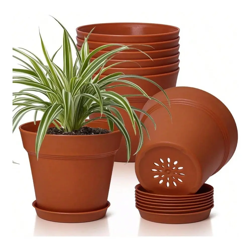 6 Inch Plant Pot 8Pack Plastic With Drainage Hole And Saucer Decorative Nursery Po Bulk For Afn Olet Plant Sulent Herb And Plan
6 Inch Plant Pot 8Pack Plastic With Drainage Hole And Saucer Decorative Nursery Po Bulk For Afn Olet Plant Sulent Herb And Plan