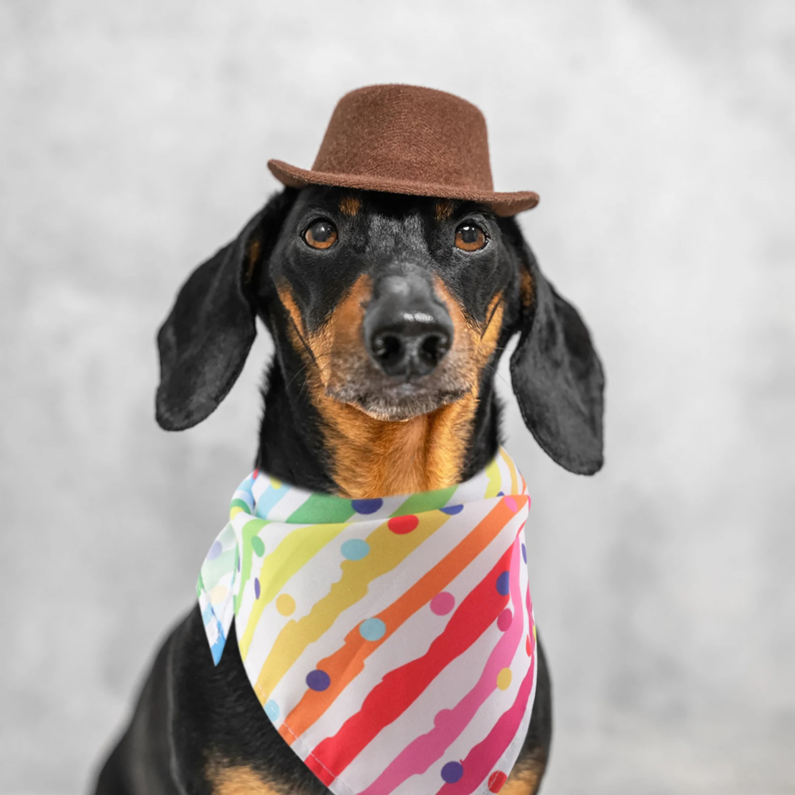 Rainbow Stripe Dog Cat Triangular Bandana Birthday Party Scarf Adjustable Polyester Pet Outfit Single Layer Print Festive
Rainbow Stripe Dog Cat Triangular Bandana Birthday Party Scarf Adjustable Polyester Pet Outfit Single Layer Print Festive