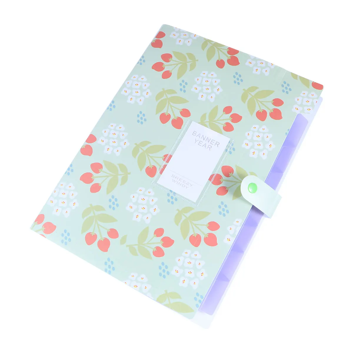 8 -Pocket Floral Folder Letter Size Expandable File Pink Small Fresh Printing Accordion Organizer Plastic
8 -Pocket Floral Folder Letter Size Expandable File Pink Small Fresh Printing Accordion Organizer Plastic