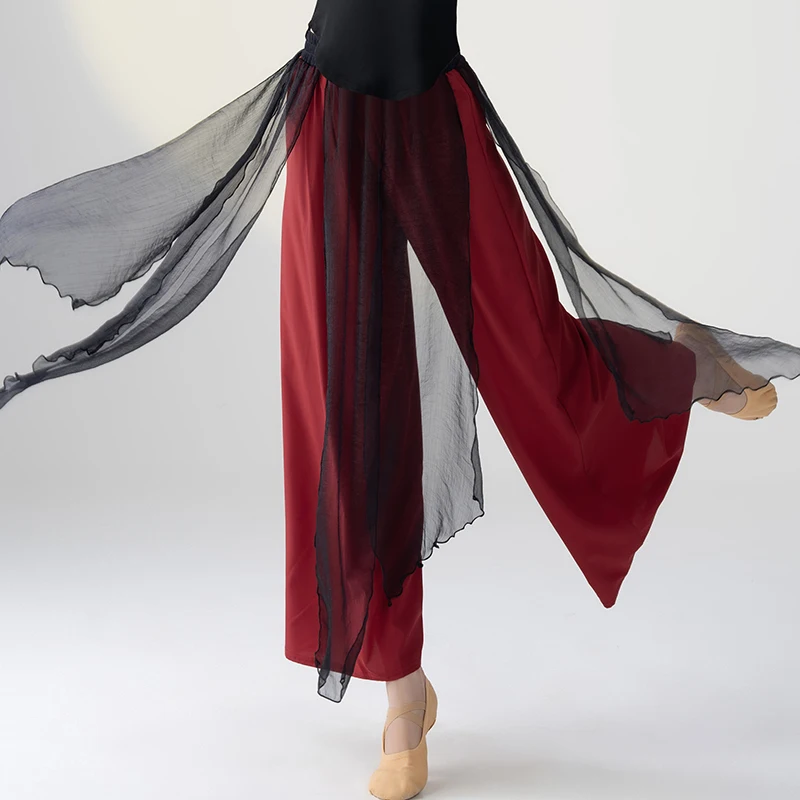 Classical Dance Pants Professional Latin Dance Practice Clothes Modern Standard Dance Trousers Oriental Dance Clothing DQL7782
Classical Dance Pants Professional Latin Dance Practice Clothes Modern Standard Dance Trousers Oriental Dance Clothing DQL7782
