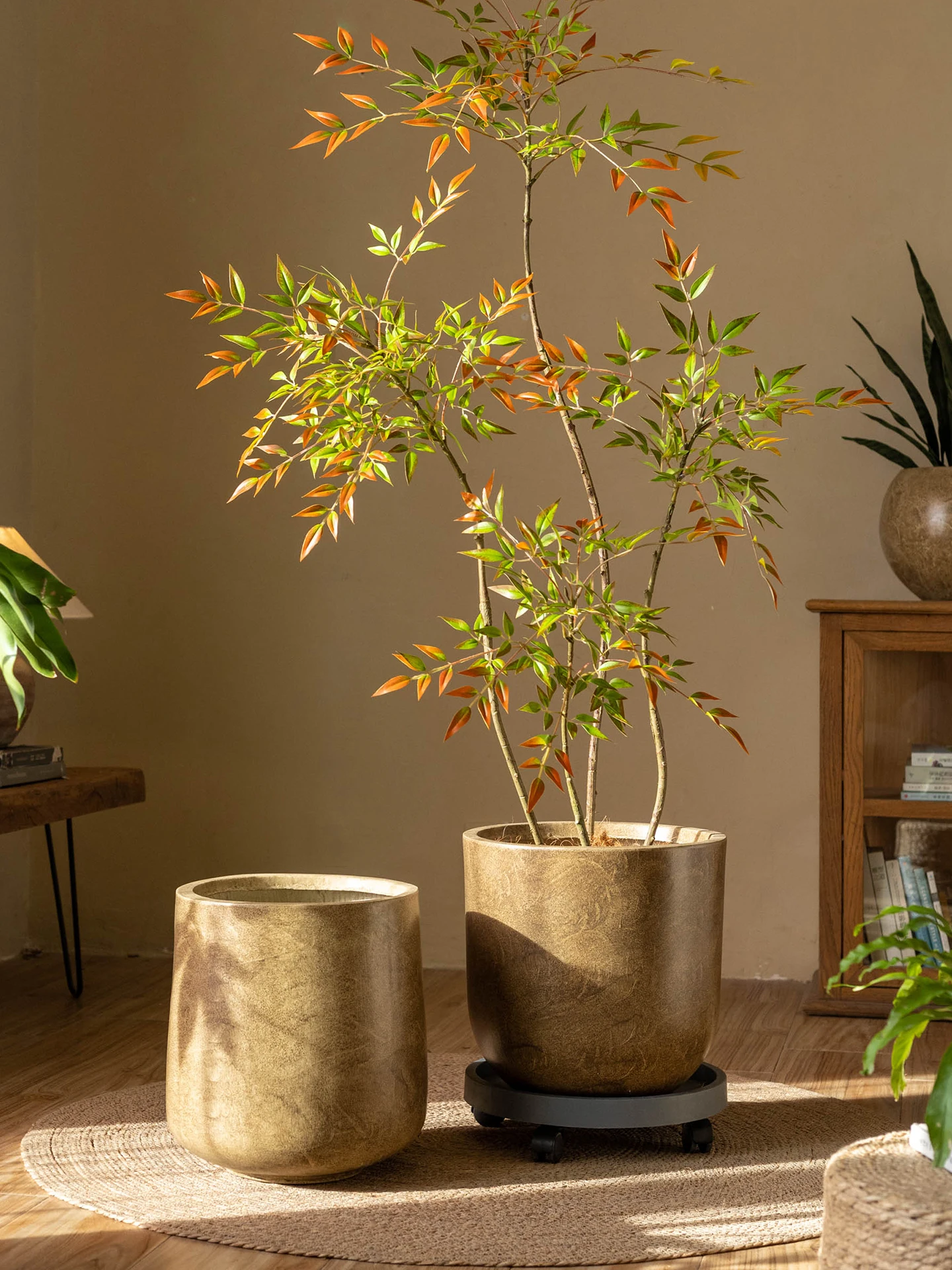 Large Size Luxury Home Flower Pots Nordic Style Living Room Floor Plants Turtle Back Bamboo Imitation Ceramic Flower Pots
Large Size Luxury Home Flower Pots Nordic Style Living Room Floor Plants Turtle Back Bamboo Imitation Ceramic Flower Pots