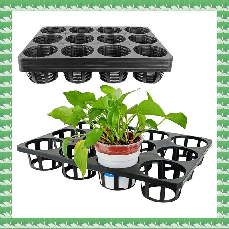 ONCE 12 Cell Round Nursery Pots Trays,5 Pack Seed Nursery Pots Moving Trays,Seedling Pots Nursery Carrying Trays Moving Tray
ONCE 12 Cell Round Nursery Pots Trays,5 Pack Seed Nursery Pots Moving Trays,Seedling Pots Nursery Carrying Trays Moving Tray