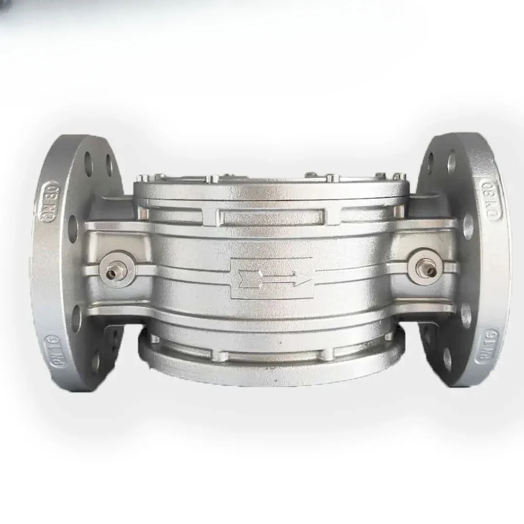 Natural gas filter, gas filter, pipeline impurities, flange combustion engine, DN25 gas filter
Natural gas filter, gas filter, pipeline impurities, flange combustion engine, DN25 gas filter