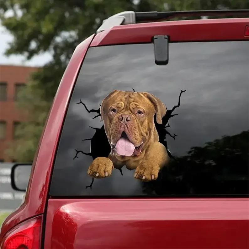 Dogue De Bordeaux Decal - fits cars, windows, laptops and any smooth surface, Dogue De Bordeaux Stickers, Dog Decal, Custom Dog
Dogue De Bordeaux Decal - fits cars, windows, laptops and any smooth surface, Dogue De Bordeaux Stickers, Dog Decal, Custom Dog