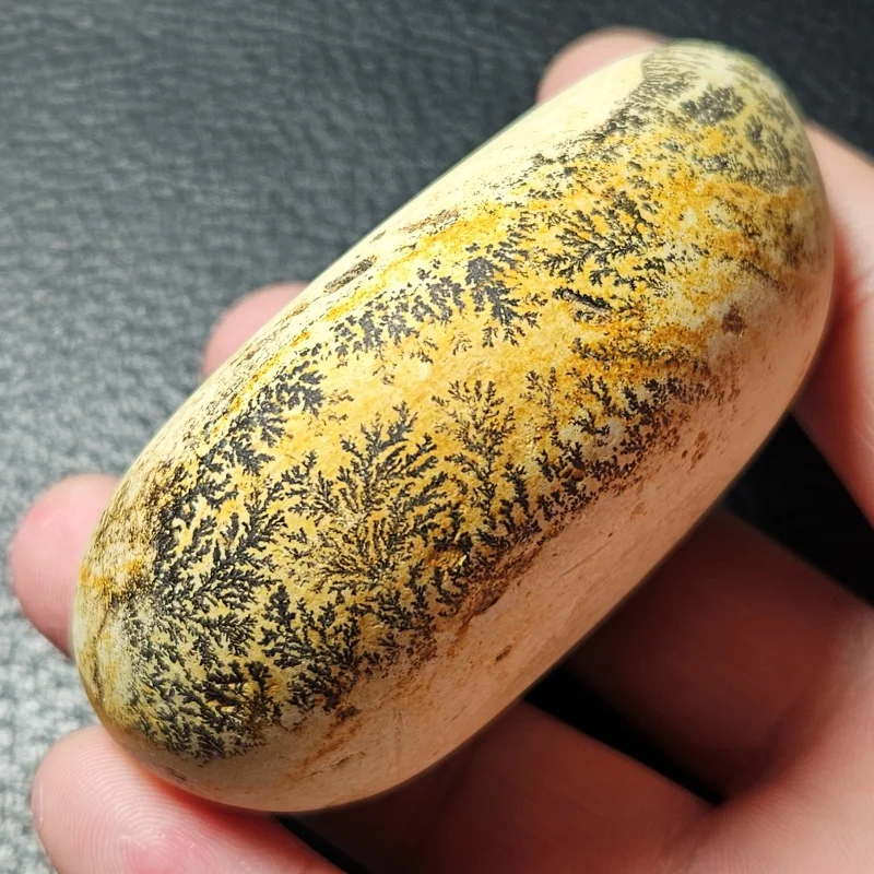 Uniquely Natural Nanjing Riverstones Aquatic Plant Gemstone Collection For Feng Shui Home Decoration
Uniquely Natural Nanjing Riverstones Aquatic Plant Gemstone Collection For Feng Shui Home Decoration