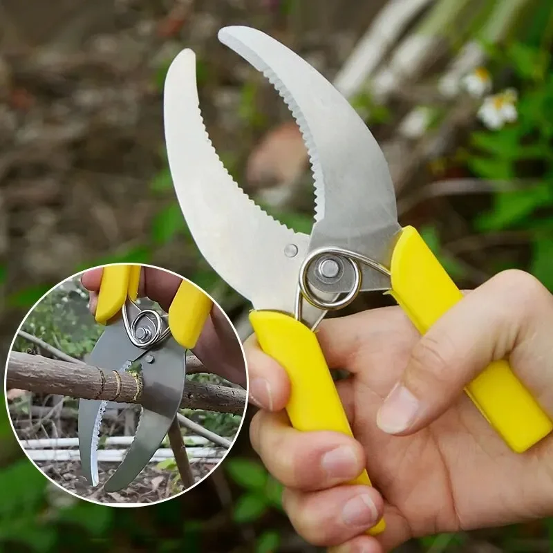 Fruit Tree Ring Peeler Garden Pruning Scissor Portable Cutter Girdling Grafting Tools Orchard Potted Plant Horticultural
Fruit Tree Ring Peeler Garden Pruning Scissor Portable Cutter Girdling Grafting Tools Orchard Potted Plant Horticultural