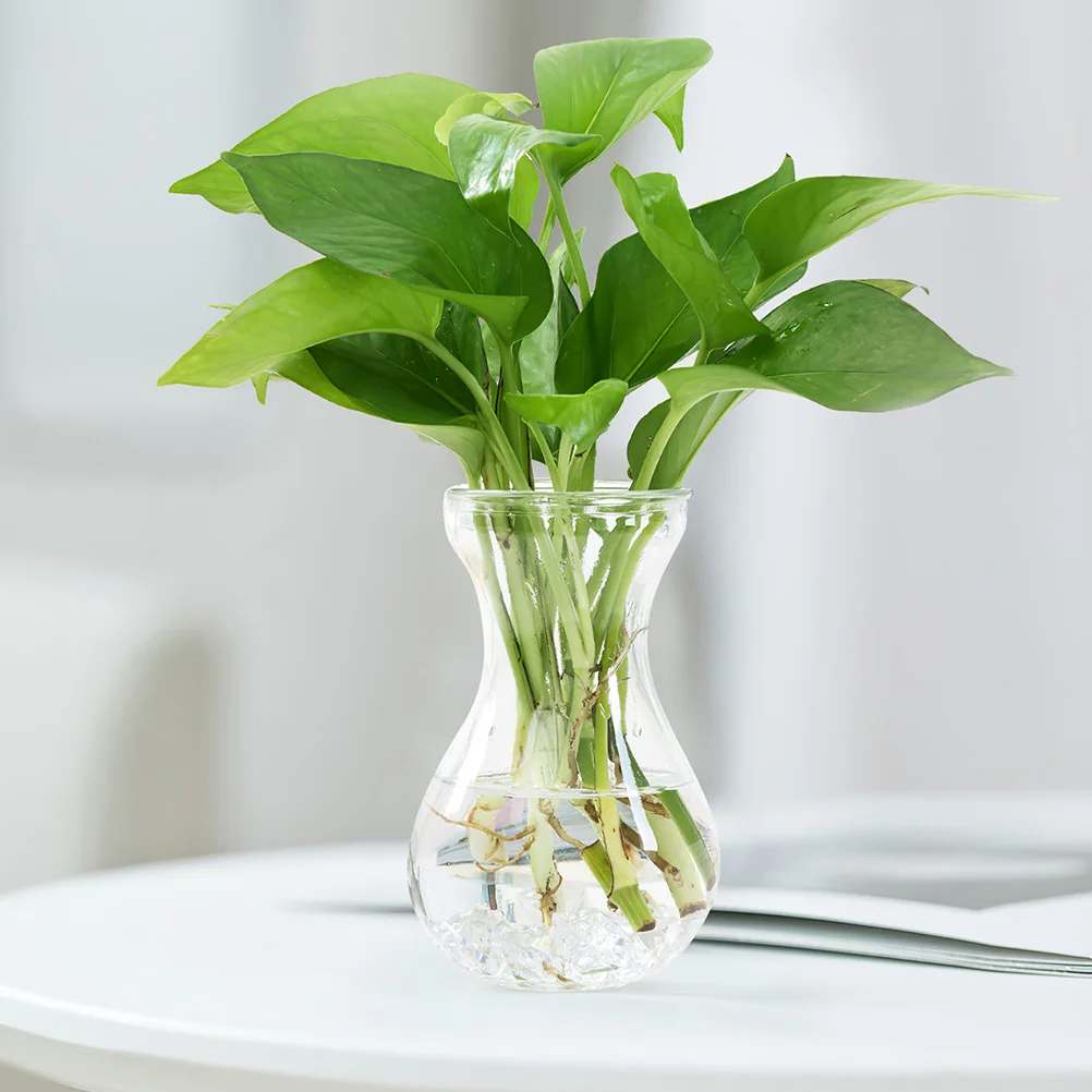 5Pcs Glass Vase Creative Design Flower Vase for Home Office Flat Bottom Stable Stand Glass Flower Container Plant Planter
5Pcs Glass Vase Creative Design Flower Vase for Home Office Flat Bottom Stable Stand Glass Flower Container Plant Planter