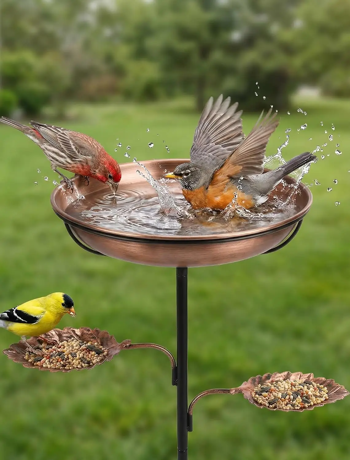 Metal bird bath and feeder - Rust-resistant vintage design, stable 5-claw base and detachable easy-to-clean bowl. Garden decorat
Metal bird bath and feeder - Rust-resistant vintage design, stable 5-claw base and detachable easy-to-clean bowl. Garden decorat