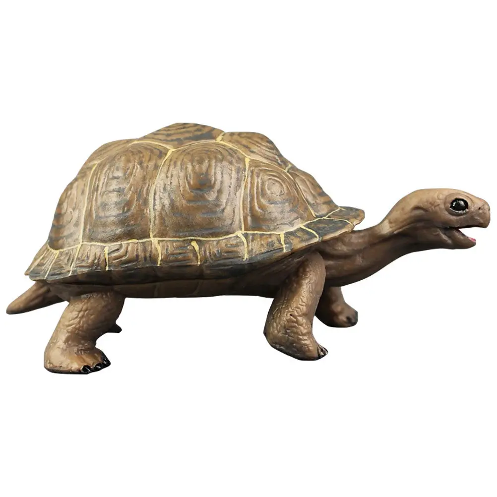 Plastic Tortoise Realistic Educational Kids Desk Decoration Enhance Creativity Cognitive Plastic Turtle Ornament
Plastic Tortoise Realistic Educational Kids Desk Decoration Enhance Creativity Cognitive Plastic Turtle Ornament