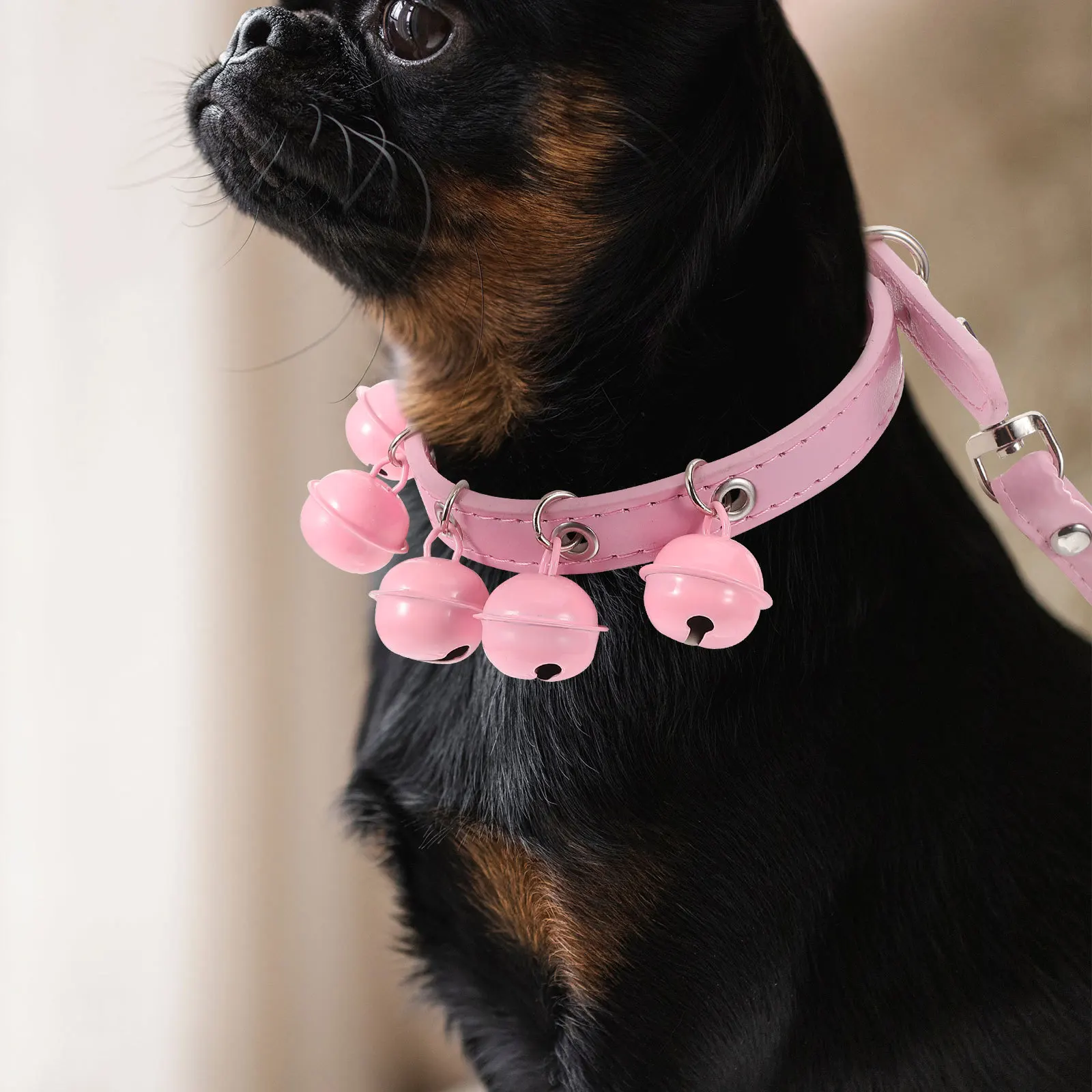 Dog Collar Leash Set Adjustable Durable For Walking Outdoor Sports Pet Dog Collar Pink With Bells Pet Pulling Rope
Dog Collar Leash Set Adjustable Durable For Walking Outdoor Sports Pet Dog Collar Pink With Bells Pet Pulling Rope
