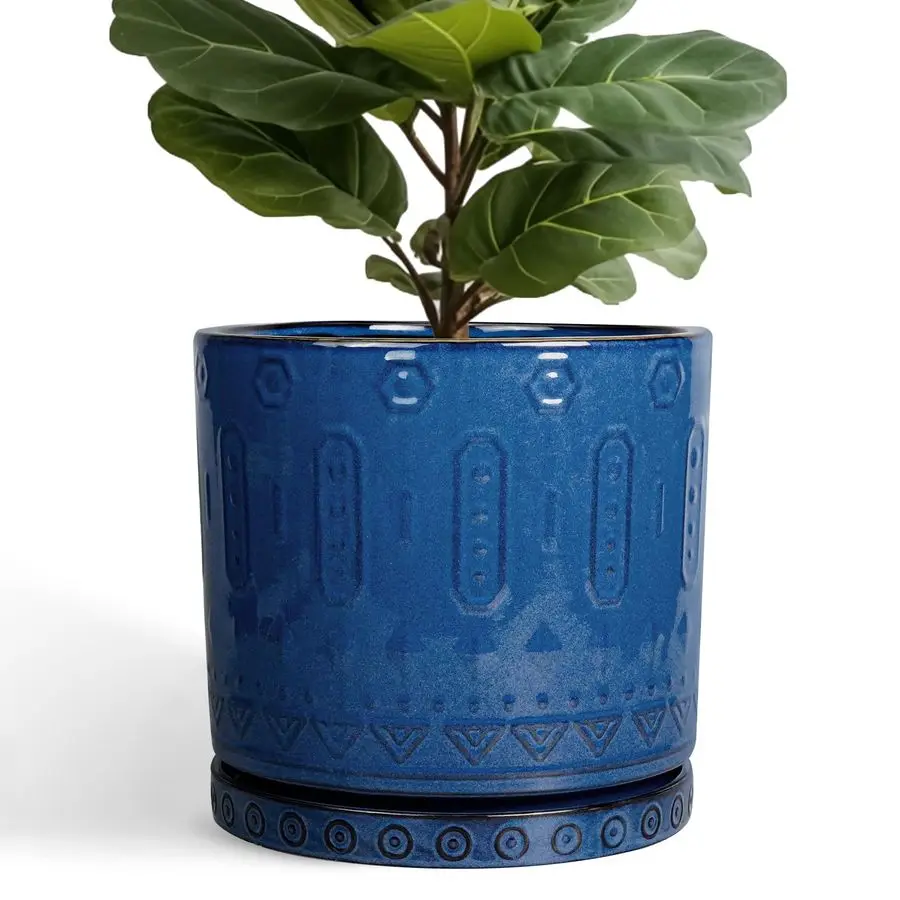 Керамический горшок Eightpot 12 дюймов для комнатных растений, большой цветочный горшок с дренажными отверстиями и поддоном для улицы
Керамический горшок Eightpot 12 дюймов для комнатных растений, большой цветочный горшок с дренажными отверстиями и поддоном для улицы