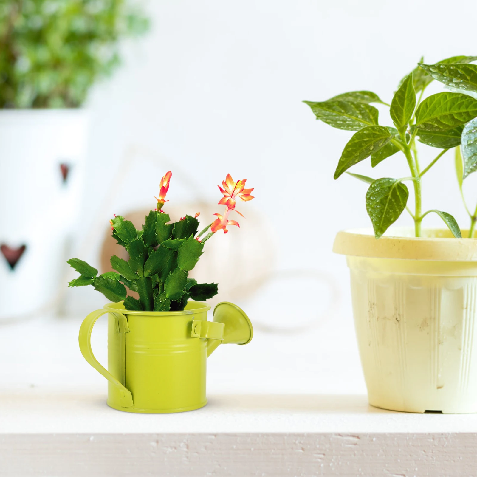 1pc Mini Watering Can Pot for Succulents Galvanized Metal Long Spout Sprinkler Kettle Indoor Desk Table Plant
1pc Mini Watering Can Pot for Succulents Galvanized Metal Long Spout Sprinkler Kettle Indoor Desk Table Plant
