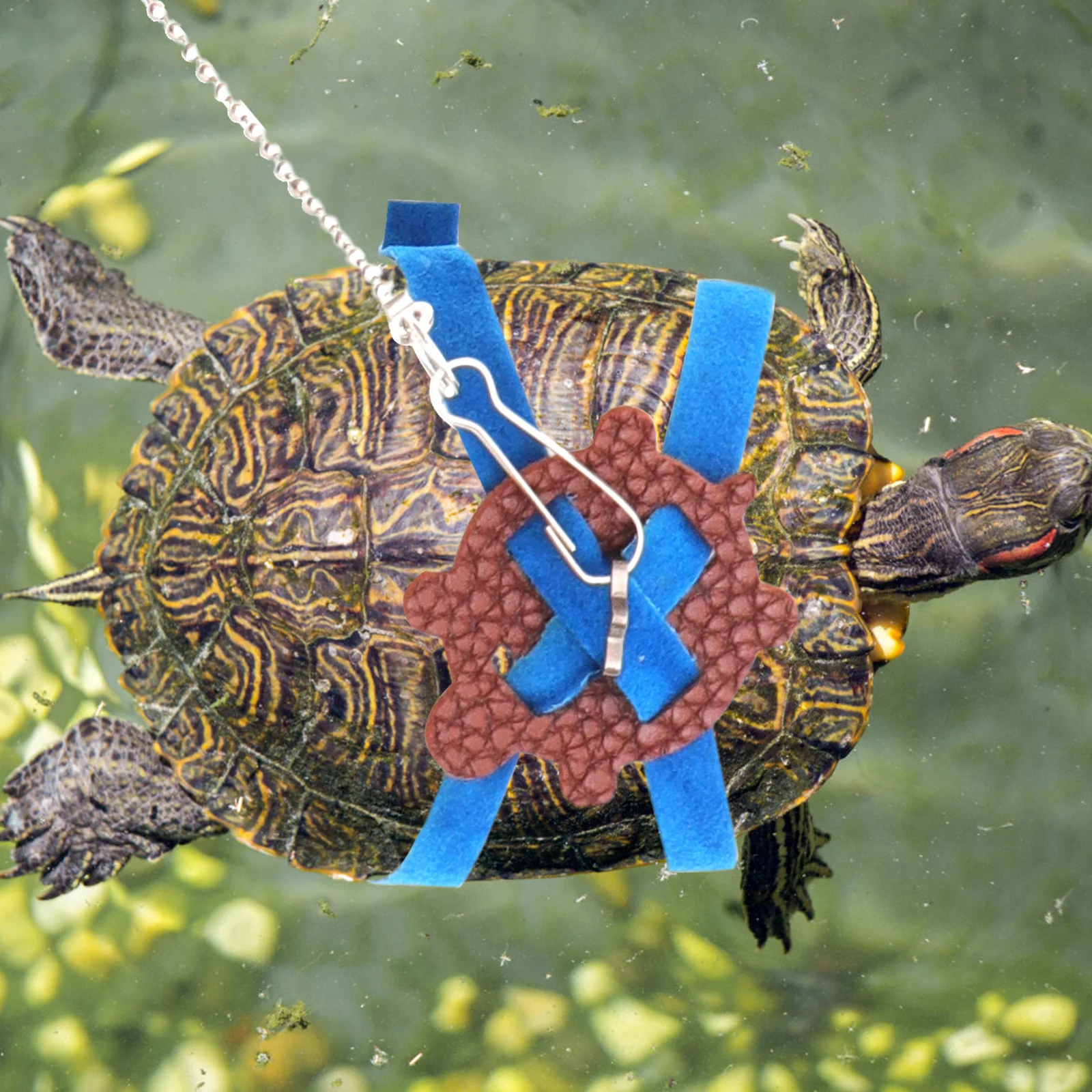 Turtle Walking Rope Pet Harness Strap Lightweight Adjustable Breathable Materials Prevent Lost Storage Outdoor
Turtle Walking Rope Pet Harness Strap Lightweight Adjustable Breathable Materials Prevent Lost Storage Outdoor