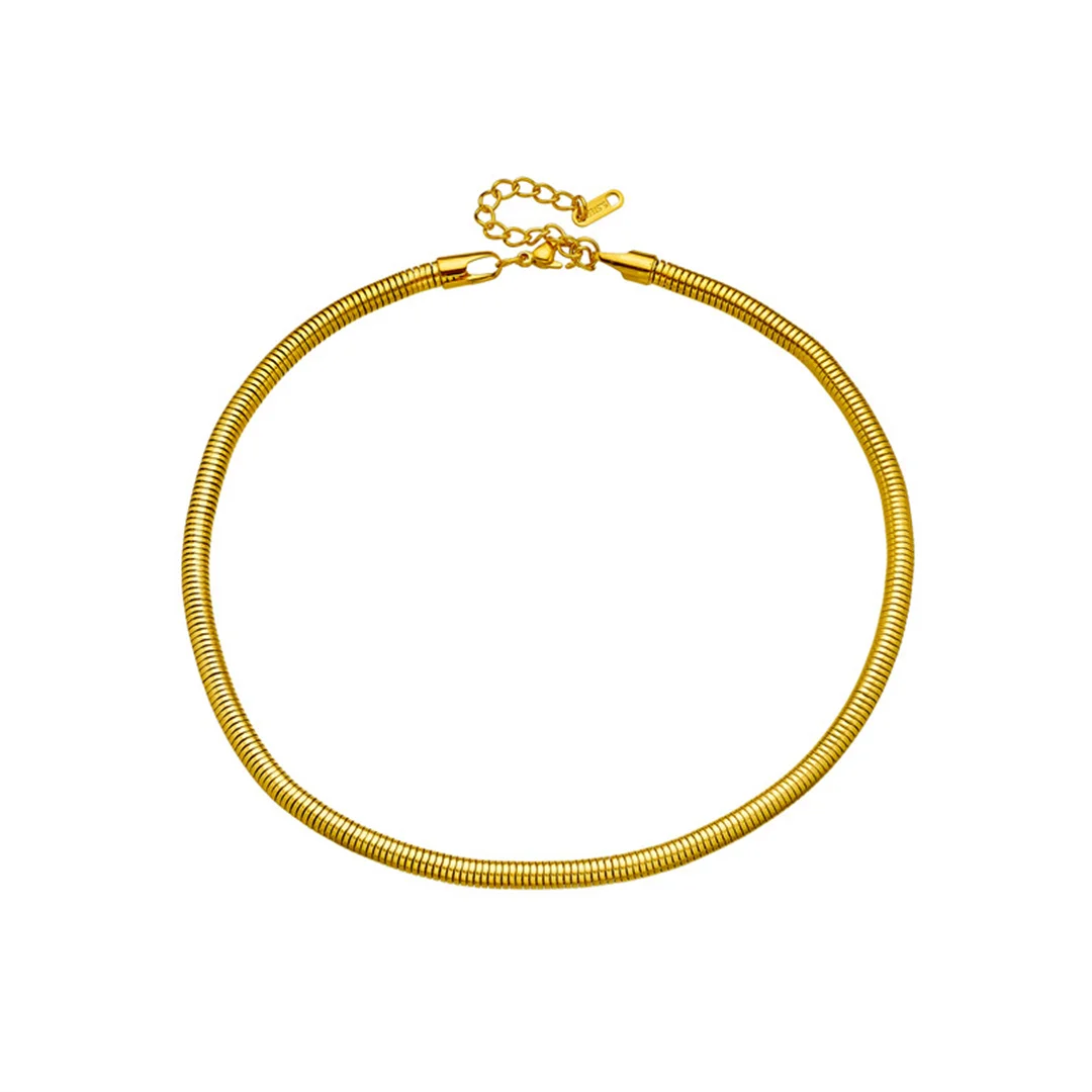 Punk Clavicle Snake Bone Chain Female Gold Color Stainless Steel Short Neck Choker Chain Necklace for Woman Fashion Jewelry Gift
Punk Clavicle Snake Bone Chain Female Gold Color Stainless Steel Short Neck Choker Chain Necklace for Woman Fashion Jewelry Gift