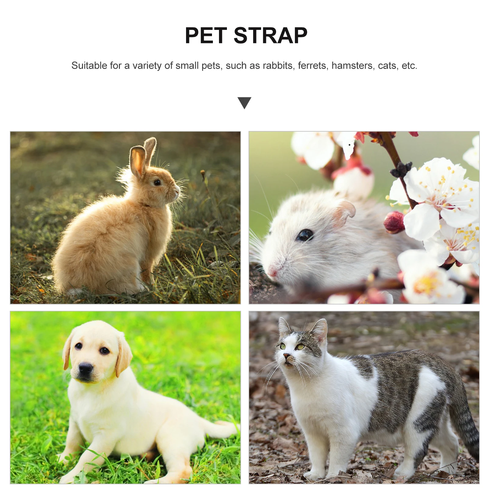Soft Pet Harness for Cats Dogs Durable Lightweight Breathable Chest Protector Angel Design Fashion Vest Strap Comfortable Easy
Soft Pet Harness for Cats Dogs Durable Lightweight Breathable Chest Protector Angel Design Fashion Vest Strap Comfortable Easy