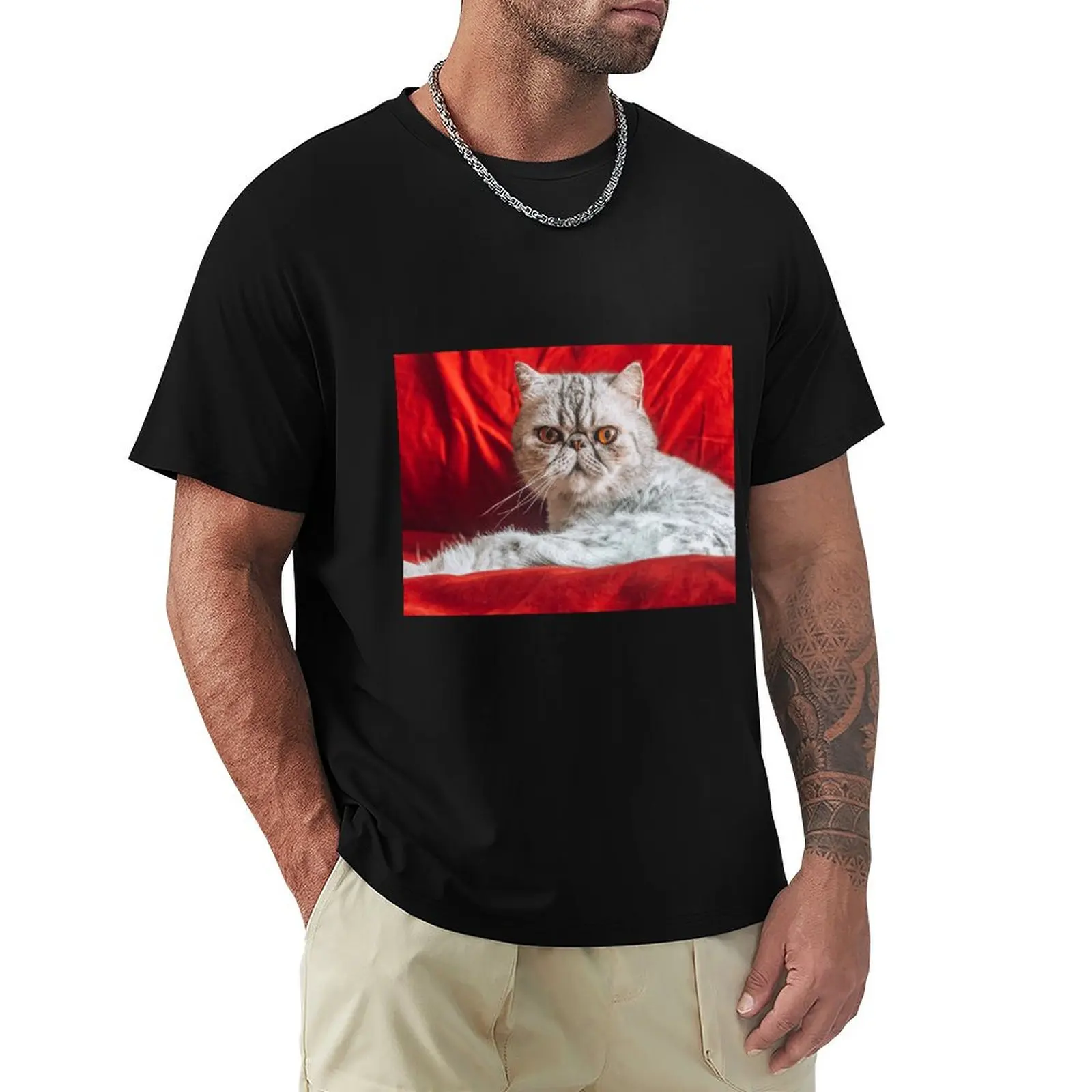 Exotic shorthair cat T-Shirt oversized graphic tee funny meme t-shirts new edition gifts for boyfriend Men's t shirts
Exotic shorthair cat T-Shirt oversized graphic tee funny meme t-shirts new edition gifts for boyfriend Men's t shirts