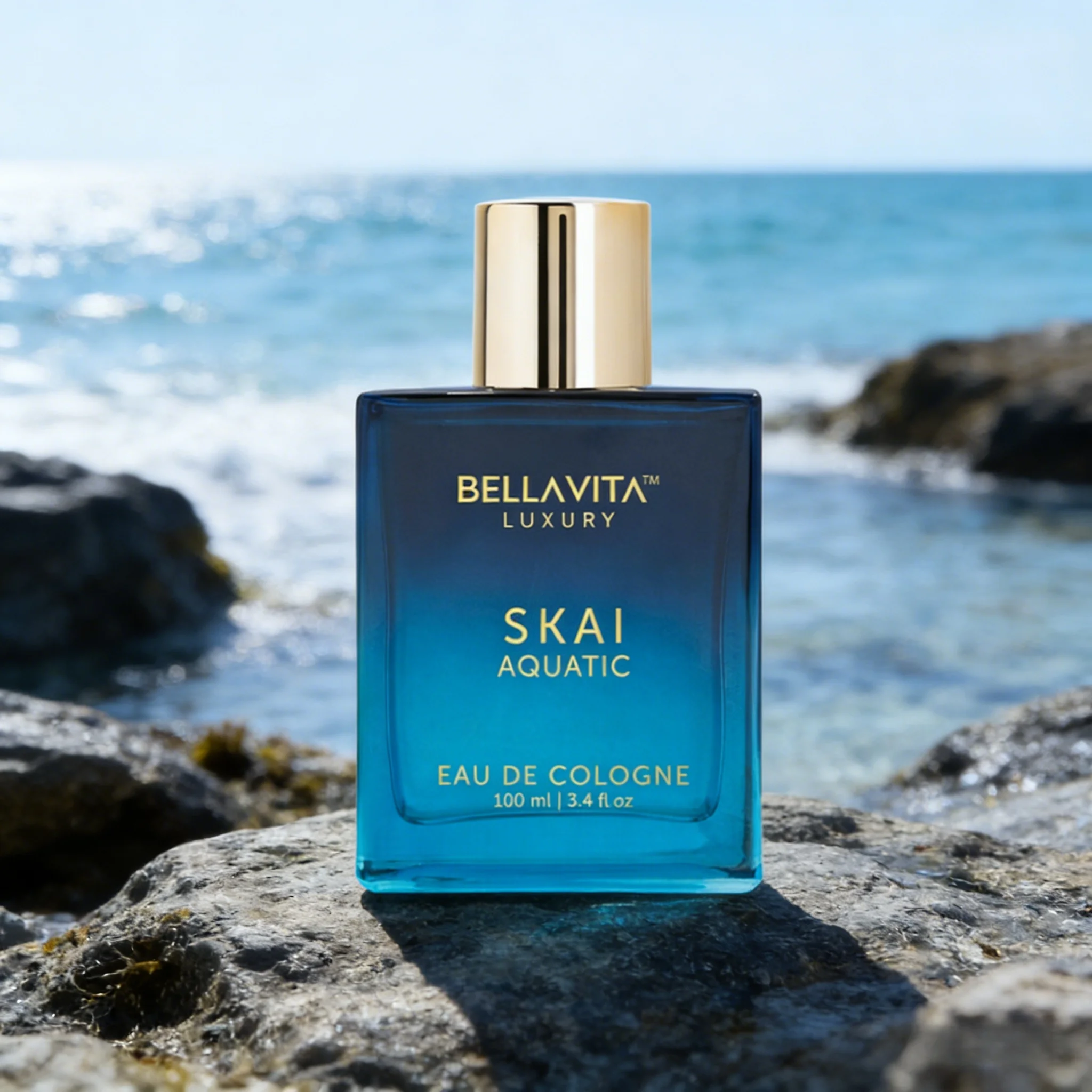 SKAI Aquatic/ DATE Women'S/ WHITE Oud Fragrance for Both Genders, 3.38 Oz EDC Spray
SKAI Aquatic/ DATE Women'S/ WHITE Oud Fragrance for Both Genders, 3.38 Oz EDC Spray