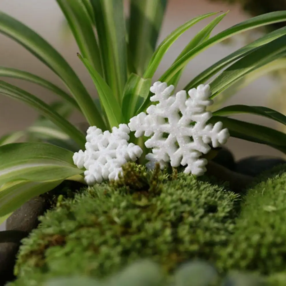 Party Supplies DIY for Scrapbooking, Hair Clip, Xmas Tree Decor Christmas Embellishment Snowflake Crafts Christmas Ornaments
Party Supplies DIY for Scrapbooking, Hair Clip, Xmas Tree Decor Christmas Embellishment Snowflake Crafts Christmas Ornaments