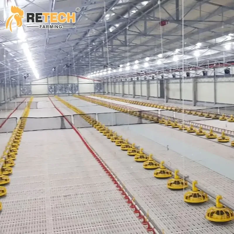 Automatic Chicken Feeder Drinker for Broilers Poultry Farm Floor Raising Equipment
Automatic Chicken Feeder Drinker for Broilers Poultry Farm Floor Raising Equipment