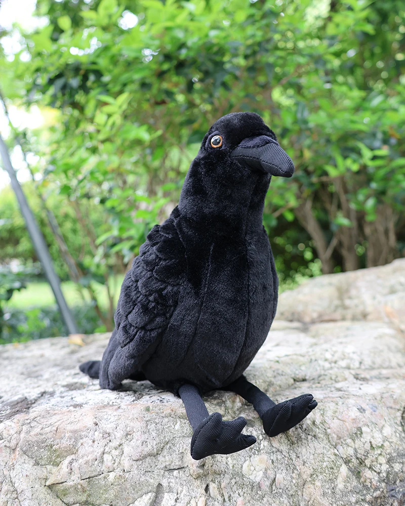 20cm High Soft Large-billed Crow Plush Toys Lifelike Black Birds Raven Stuffed Animals Toy Gifts For Kids
20cm High Soft Large-billed Crow Plush Toys Lifelike Black Birds Raven Stuffed Animals Toy Gifts For Kids