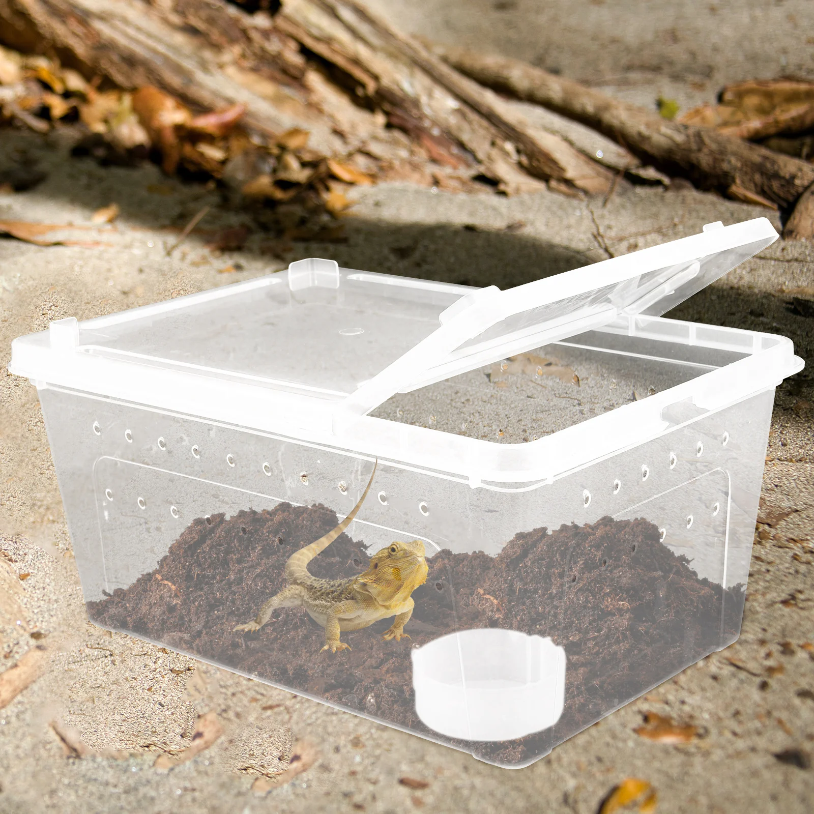 1Set Reptile Box High Quality Transparent Acrylic Breeding Habitat for Snakes Lizards Spiders Ventilated Feeding Container
1Set Reptile Box High Quality Transparent Acrylic Breeding Habitat for Snakes Lizards Spiders Ventilated Feeding Container
