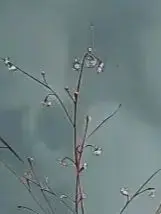 3,7 В 4800 мАч NCR21700T литиевая аккумуляторная батарея для камеры, фонарик, микрофон, бритва, игрушки, внешний аккумулятор
3,7 В 4800 мАч NCR21700T литиевая аккумуляторная батарея для камеры, фонарик, микрофон, бритва, игрушки, внешний аккумулятор