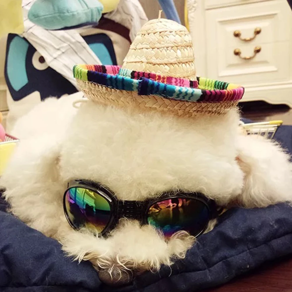3 Pcs Pet Straw Hat Fisherman for Adjustable Stylish Dog Mexican Style Supplies Dad
3 Pcs Pet Straw Hat Fisherman for Adjustable Stylish Dog Mexican Style Supplies Dad