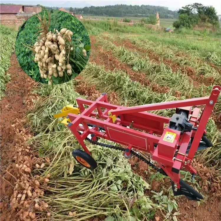 Small Peanut Picking Machine Potato Onion Garlic Carrot Harvesting Equipment
Small Peanut Picking Machine Potato Onion Garlic Carrot Harvesting Equipment
