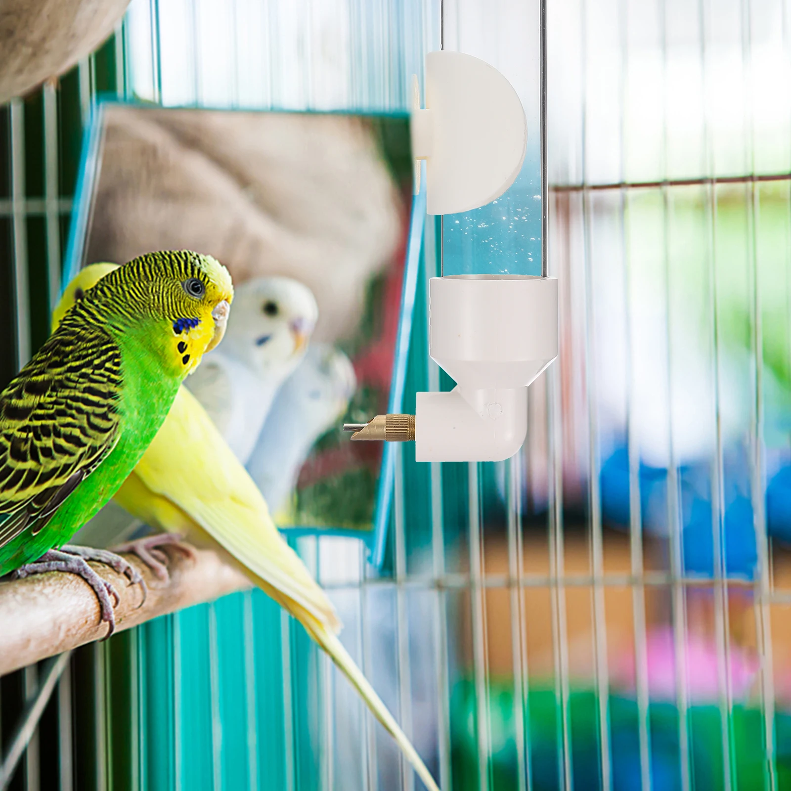 Bird Water Dispenser Cage Feeder Plastic Holder Durable Safe Mild Easy Clean Long Lasting Splash Proof Wear Resistant Parakeet
Bird Water Dispenser Cage Feeder Plastic Holder Durable Safe Mild Easy Clean Long Lasting Splash Proof Wear Resistant Parakeet