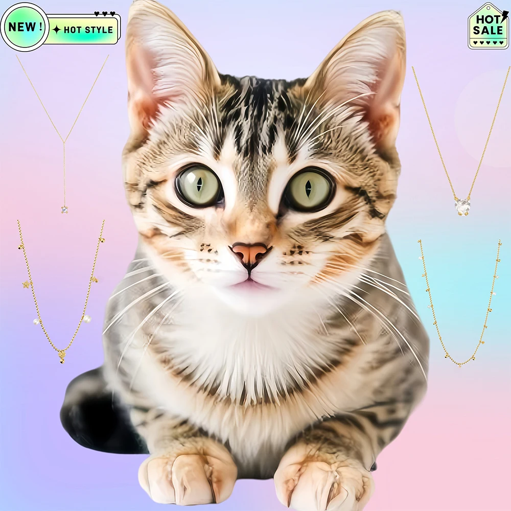Cat Accessories 2025 Spain Original Necklace High Quality Gift Suitable for Giving To People and Girls To Wear 
Cat Accessories 2025 Spain Original Necklace High Quality Gift Suitable for Giving To People and Girls To Wear