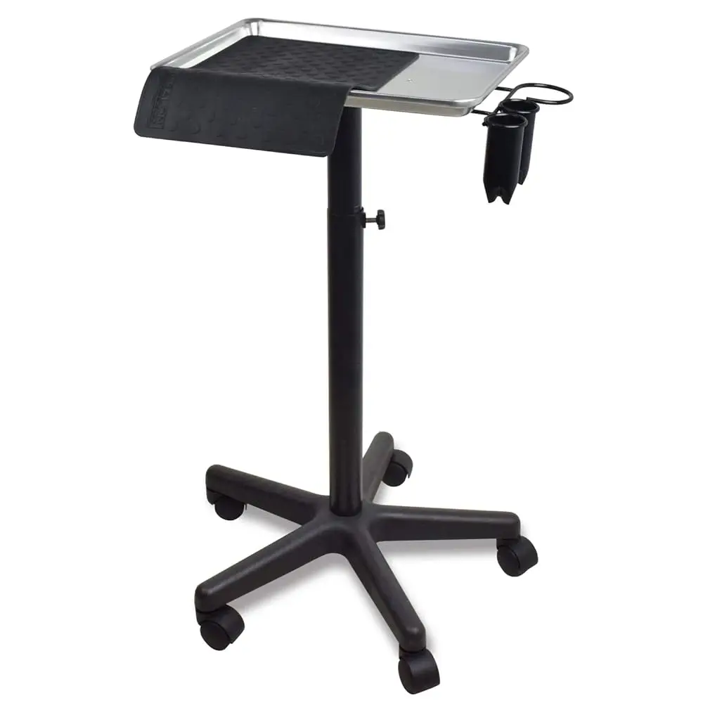 Premium Aluminum Instrument Salon Tray W/Accessory Caddy Tattoo Rolling Tray Station Height Trolley Beauty Tool
Premium Aluminum Instrument Salon Tray W/Accessory Caddy Tattoo Rolling Tray Station Height Trolley Beauty Tool