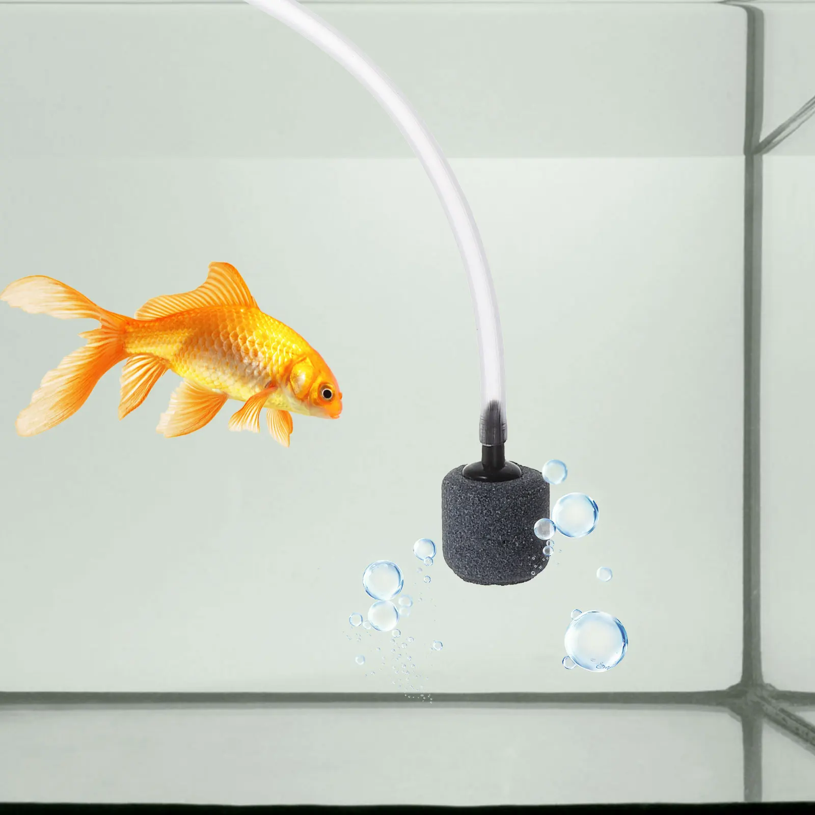 USB Aquarium Air Pump Oxygen Small Fish Bubbler Water Accessories Pumps for Tanks 
USB Aquarium Air Pump Oxygen Small Fish Bubbler Water Accessories Pumps for Tanks