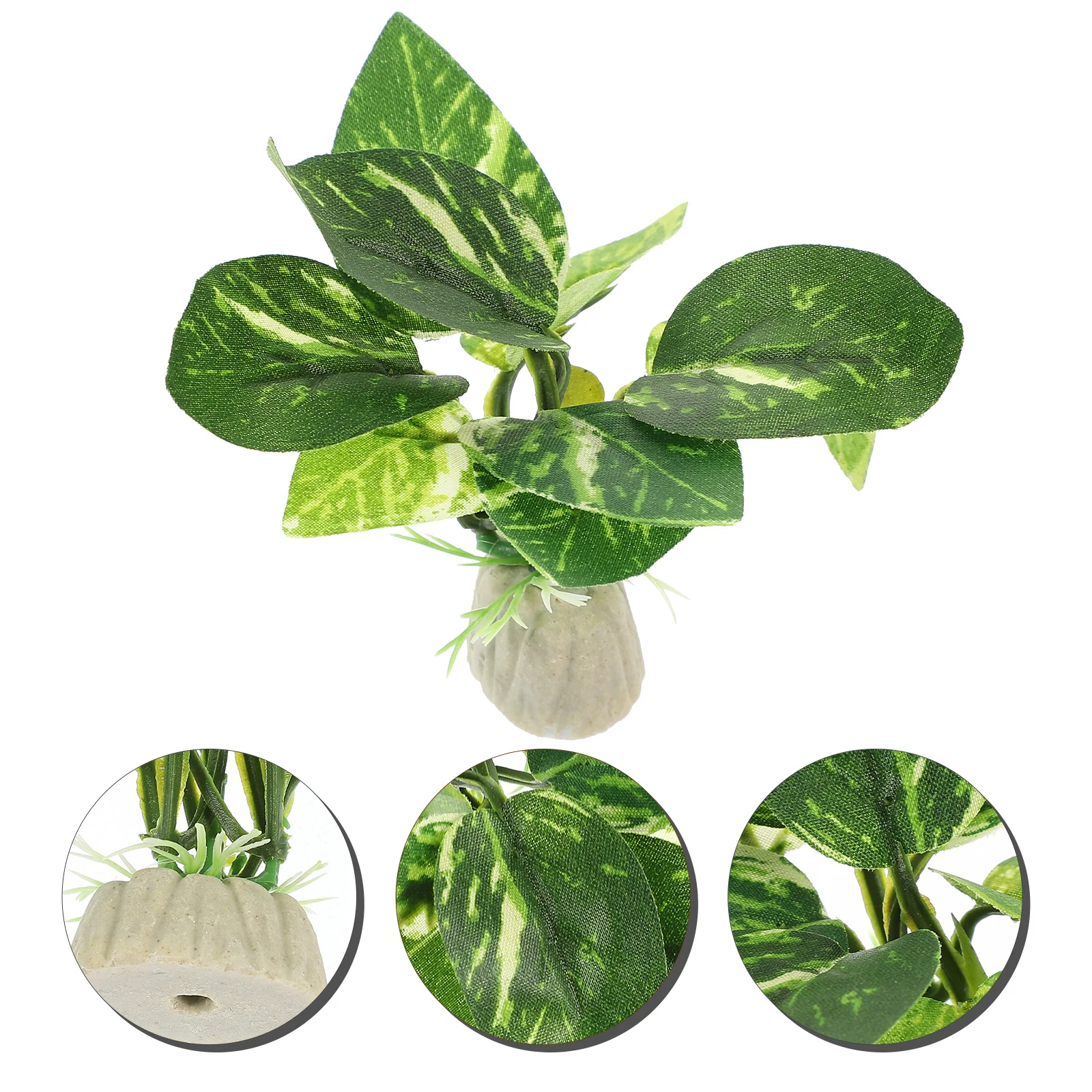 10Pcs Lifelike Aquarium Artificial Plant Decor Plastic Fish Tank Plants Exquisite Details Reliable Material Aquarium Plants
10Pcs Lifelike Aquarium Artificial Plant Decor Plastic Fish Tank Plants Exquisite Details Reliable Material Aquarium Plants