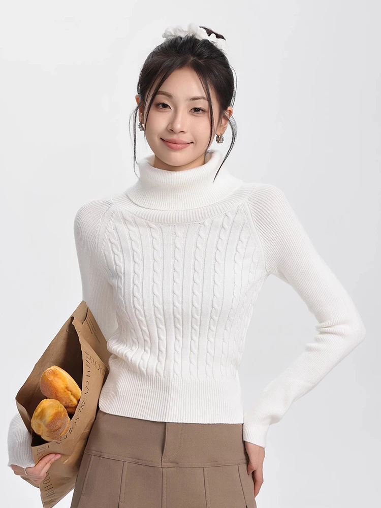 Women Turtleneck Sweater Autumn Winter Women's Solid Color Casual Sweater Pullover Female Slim Fit Knitted Tops
Women Turtleneck Sweater Autumn Winter Women's Solid Color Casual Sweater Pullover Female Slim Fit Knitted Tops